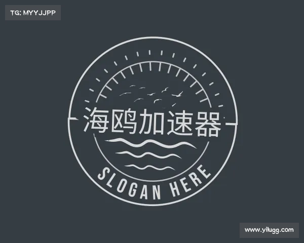 关于海鸥加速器